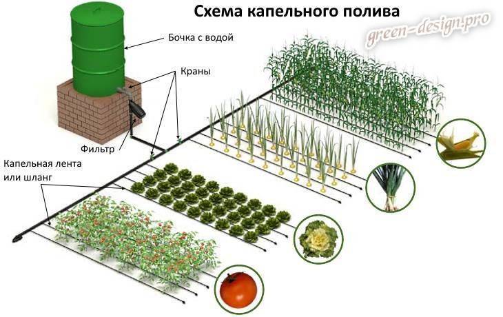 Какую выбрать систему капельного полива на дачу: рейтинг из 13 лучших вариантов