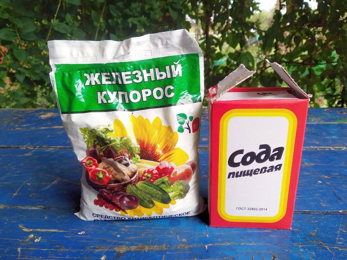 Антисептики для дачных туалетов и выгребных ям